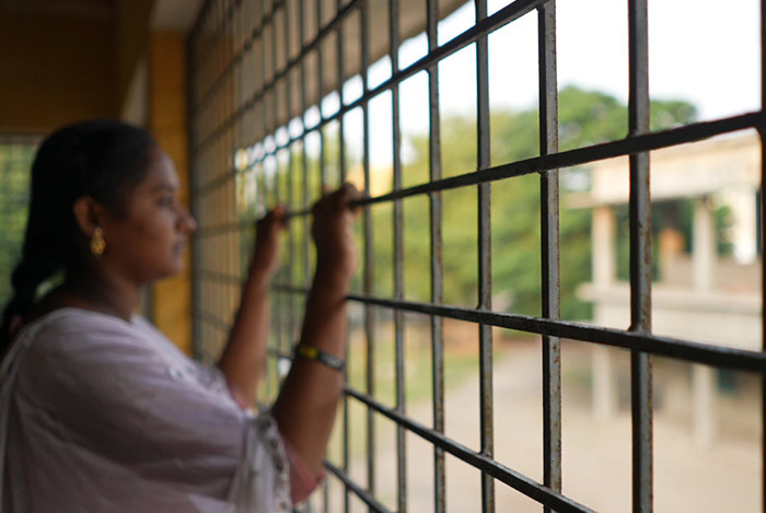 Bazidbee looking out the window