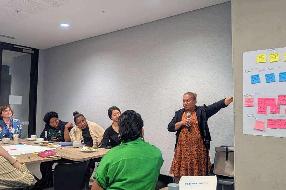 SHECAN Strengthening Health Equity Climate Action Network
