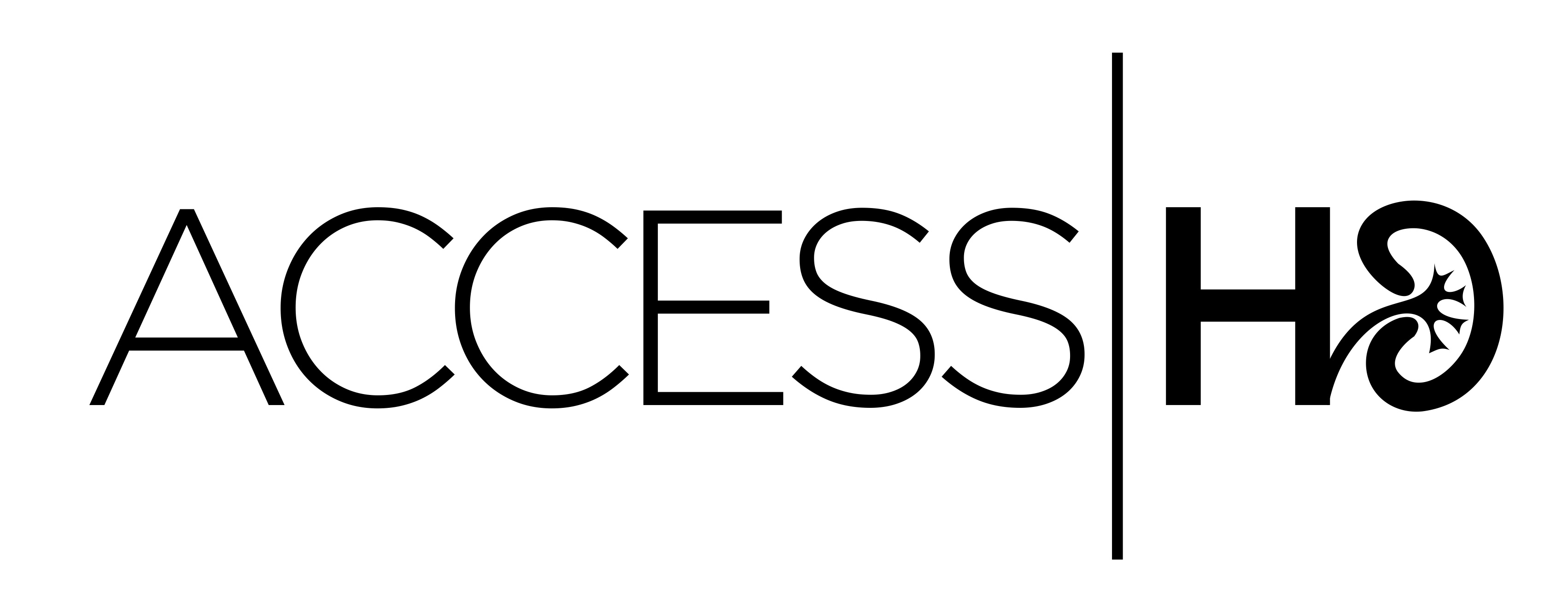 ACCESS logo