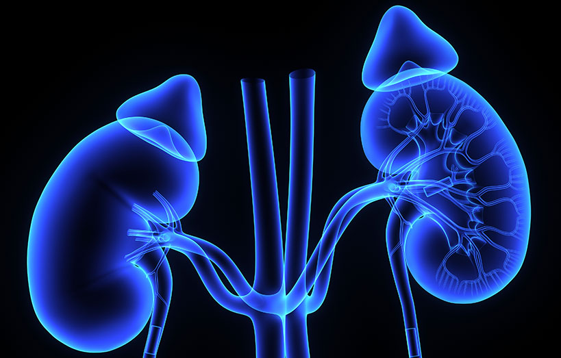 High risk of infection with steroid treatment for people with kidney