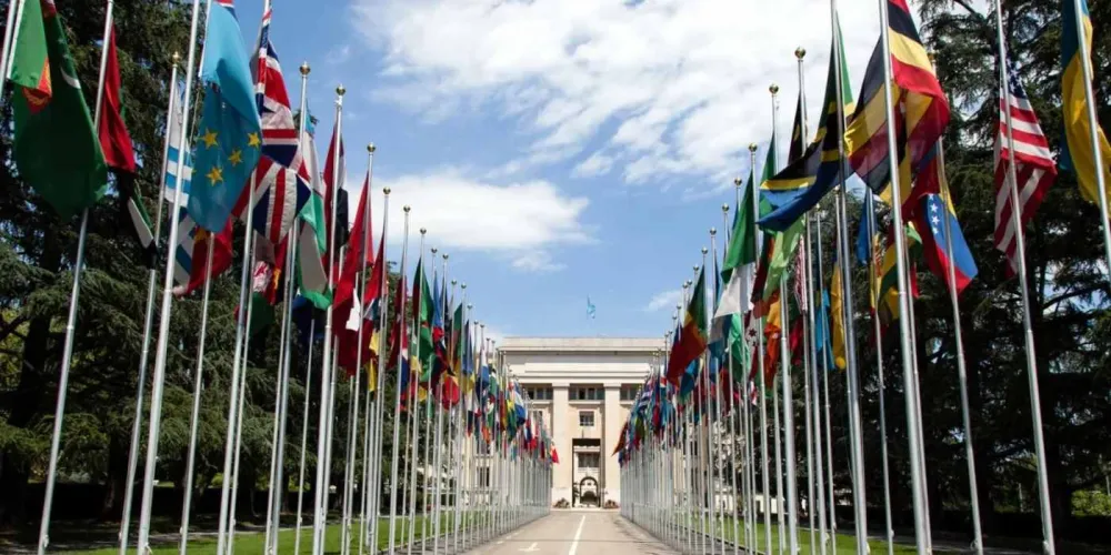 World health assembly