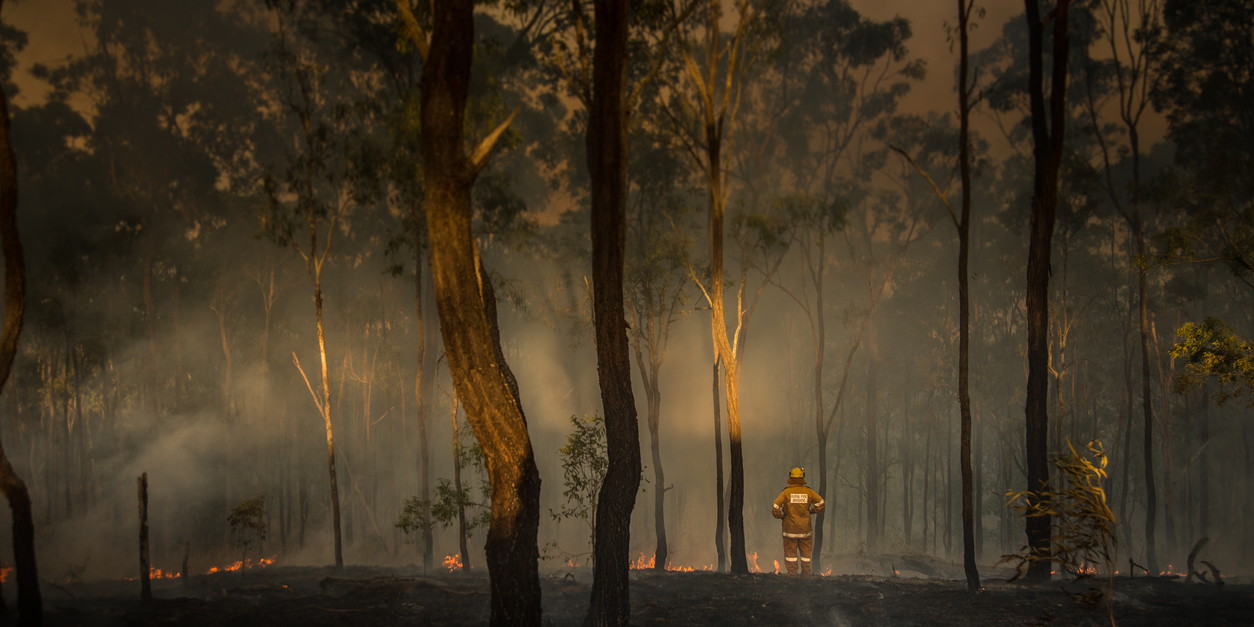 Lessons to be learned in relation to the Australian bushfire season 2019-20